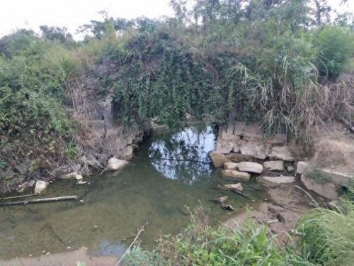 广西十大名牌坊排行榜最新(广西全州四大牌坊)插图12