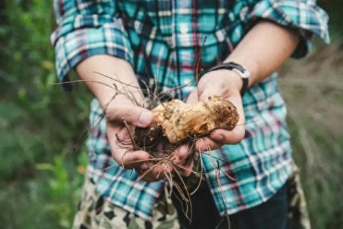 昆明排名前十的超市(昆明胖东来超市)插图36 昆明排名前十的超市(昆明胖东来超市)插图36