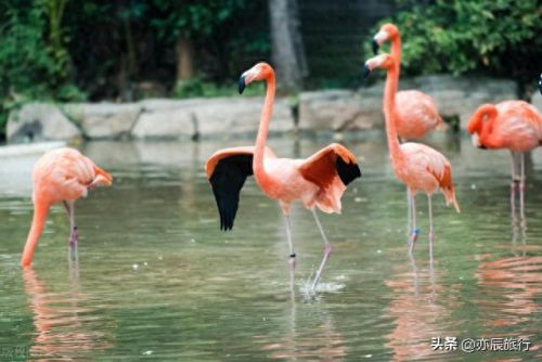 湖北十大旅游景点排行榜最新(湖北旅游景点有哪些)插图29