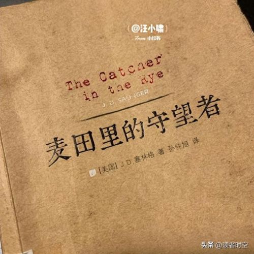 排名前十的书籍排行(2023必看好书推荐)插图1 排名前十的书籍排行(2023必看好书推荐)插图1