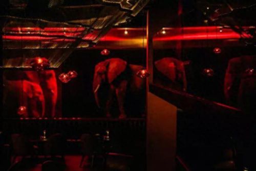 青岛独栋酒吧排名前十(青岛juicy酒吧价目表)插图21 青岛独栋酒吧排名前十(青岛juicy酒吧价目表)插图21