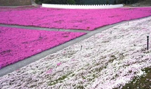 宁波游玩景区排名前十(宁波笔架山风景区)插图33 宁波游玩景区排名前十(宁波笔架山风景区)插图33