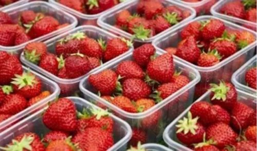 合肥十大水果品牌排行榜(合肥最好水果排名)插图10