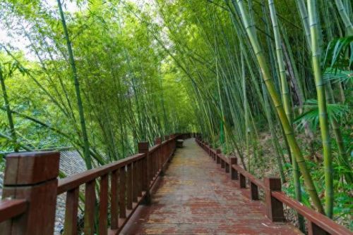 空调贵州销量排名前十(2022空调销量排行榜)插图21