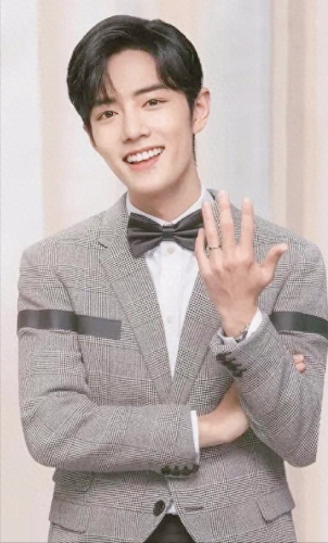 很火的十大男明星排行榜(中国最火的十大男明星)插图8