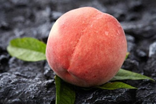 水蜜桃十大产区排行榜第一(六大产区水蜜桃大批量上市)插图