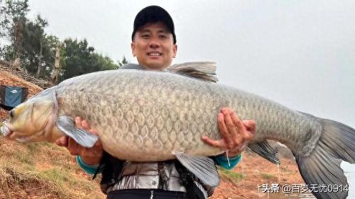 十大钓鱼博主排行榜主播(十大钓鱼人物排名)插图5 十大钓鱼博主排行榜主播(十大钓鱼人物排名)插图5