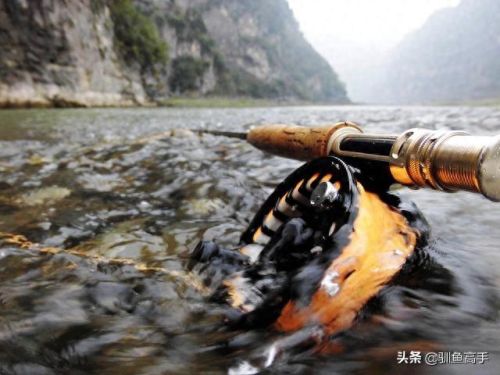 山西钓鱼品种排名前十(山西运城钓鱼的水库)插图8 山西钓鱼品种排名前十(山西运城钓鱼的水库)插图8