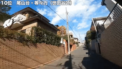 日本最美豪宅排名前十(日本十大高端豪宅)插图4
