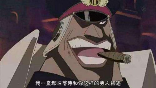 航海王十大高手排行榜图片(航海王四大高手)插图5