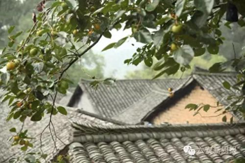 江北旅游村庄排名前十(宁波江北洪塘最大的村庄)插图3 江北旅游村庄排名前十(宁波江北洪塘最大的村庄)插图3