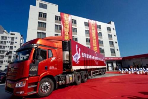 卤味鸭爪十大品牌排行榜图片(卤味店十大品牌)