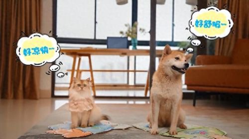 十大公益短视频排行榜榜单(十大催泪感人公益视频)插图14