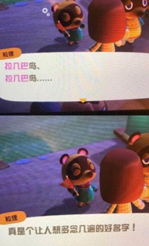 动森排名前十岛屿(动森中国风岛屿规划图)