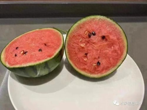西瓜品种大小十大排行榜(露天西瓜哪个品种好)插图18