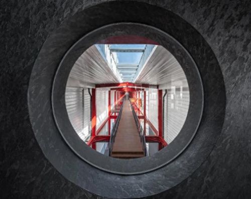 山西肉鸽销量排名前十(大熊养殖肉鸽)插图24 山西肉鸽销量排名前十(大熊养殖肉鸽)插图24