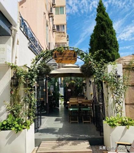 青岛十大西餐厅排行榜(青岛最好的酒店排名第一)插图4