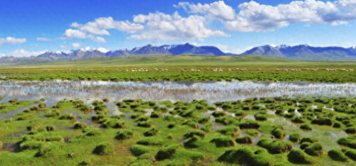 全国彩虹城市排名前十(彩虹城市)插图5