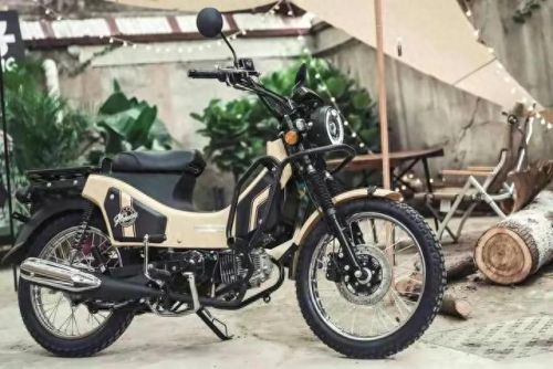 国内十大弯梁车排行榜图片(推荐几款弯梁车)插图5