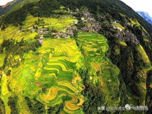 柳州十大摄影师排行榜图片(柳州全家福摄影前十名)插图5