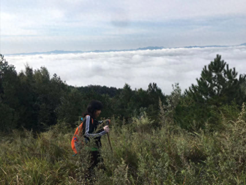 全球最美云海排名前十(最美云海在哪里)插图3 全球最美云海排名前十(最美云海在哪里)插图3