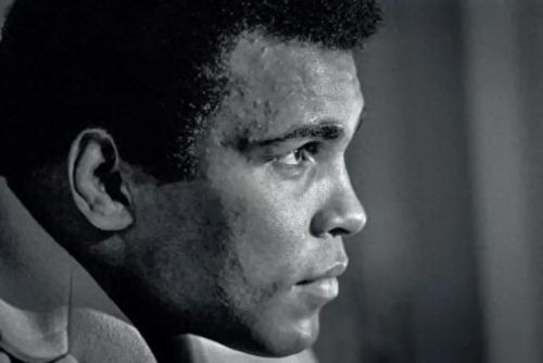 全球十大体育明星排行榜(体育明星身价前十名)插图7 全球十大体育明星排行榜(体育明星身价前十名)插图7