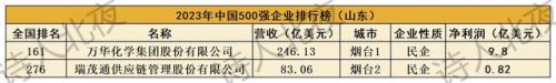 山东十大企业排行榜最新名单(山东芯片企业排名)插图1