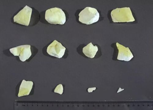 榴莲零食十大品牌排行榜(吃榴莲的7大禁忌)插图8