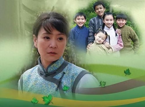 陕西十大苦情催泪剧排行榜(苦情催泪知青下乡电视剧大全)插图6