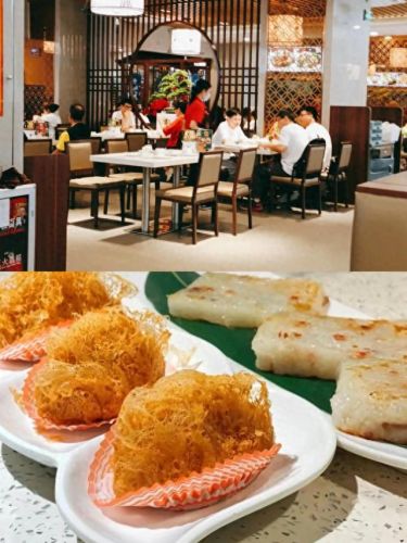 广东喝茶地点排名前十(广东喝茶步骤)插图7 广东喝茶地点排名前十(广东喝茶步骤)插图7