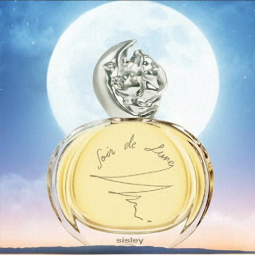 十大不甜的香水排行榜女士(十款冷门香水排行榜)插图8