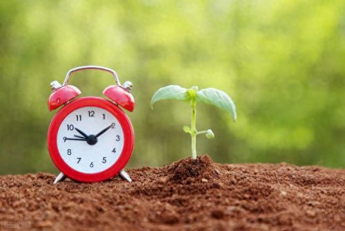 朝阳专业律师排名前十(上海排名前十律师事务所)