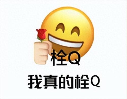 2020年十大网红排行榜(中国网红前50名)插图12