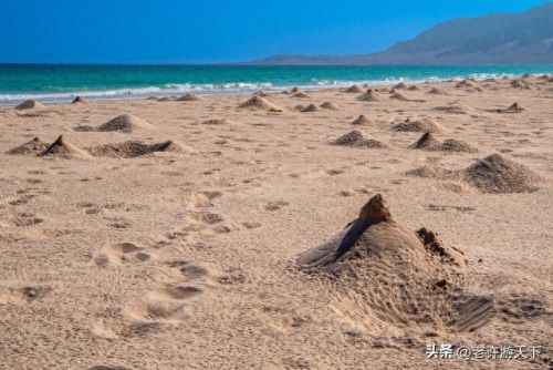 国内沙漠古城排名前十(青海所有沙漠排名)插图59 国内沙漠古城排名前十(青海所有沙漠排名)插图59