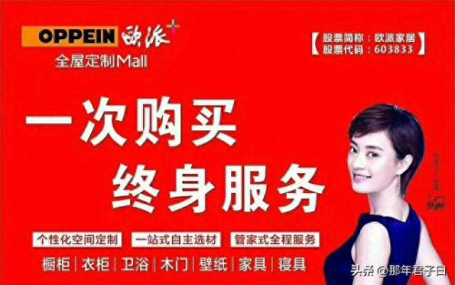 中国整体衣柜十大排行榜(简易衣柜十大排名)插图 中国整体衣柜十大排行榜(简易衣柜十大排名)插图