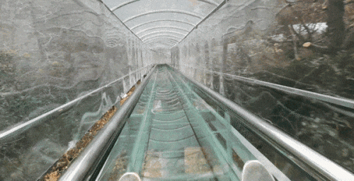 孝南区十大酒店排行榜图片(绍兴十大高档酒店)插图2 孝南区十大酒店排行榜图片(绍兴十大高档酒店)插图2