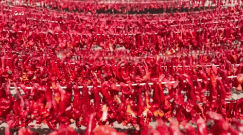 国内辣椒种植排名前十(各省种植辣椒量排名)插图