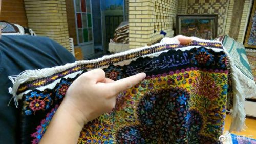 伊朗蚕丝产量排名前十(蚕丝最贵的品种)插图7