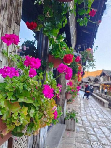 云南烧烤酒吧排名前十(云南最牛酒吧)插图10 云南烧烤酒吧排名前十(云南最牛酒吧)插图10