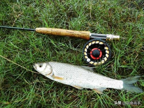 山西钓鱼品种排名前十(山西运城钓鱼的水库)插图2 山西钓鱼品种排名前十(山西运城钓鱼的水库)插图2