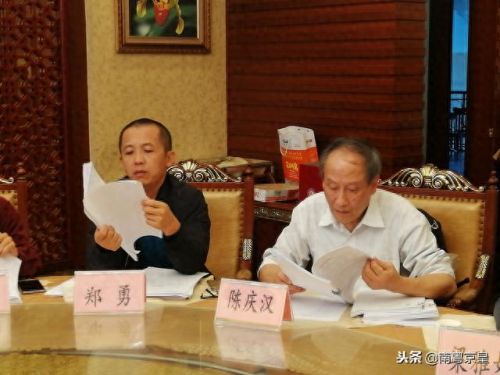 全国十大鸽业品牌排行榜图片(中国十大土豪赛鸽)插图7