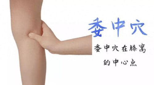 深圳湿气中医排名前十(上海老中医看湿气)插图7 深圳湿气中医排名前十(上海老中医看湿气)插图7