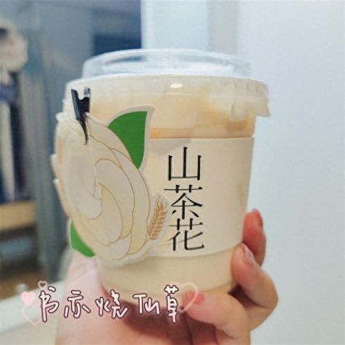 全国十大网红奶茶排行榜(荷塘月色奶茶长沙网红店)插图4