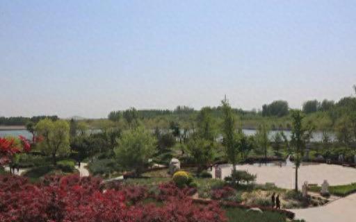 曲阳十大网红排行榜名单(曲阳十大网红是谁)插图5