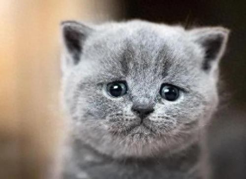 互联网十大故事排行榜(产业互联网十大平台)