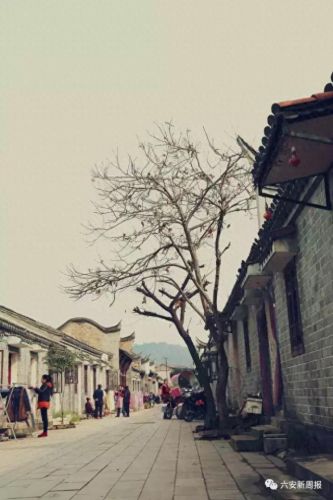 江北旅游村庄排名前十(宁波江北洪塘最大的村庄)插图2 江北旅游村庄排名前十(宁波江北洪塘最大的村庄)插图2