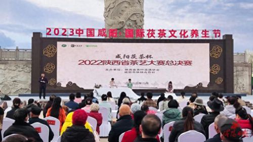 咸阳品茶网站排名前十(咸阳新茶已到欢迎品茶)