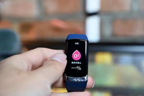 十大热门高端智能手环排行榜(十大顶级手环排名)插图1