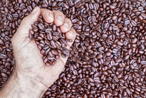 咖啡豆十大品牌排行榜下(十大良心咖啡豆推荐)插图1