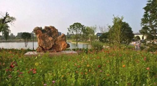 孝南区十大最好初中排行榜(2022孝南区中学排名)插图7